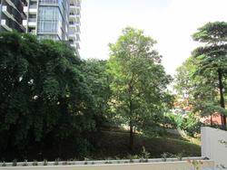 Ridgewood (D10), Condominium #130317622